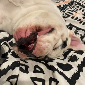 Meet your Posher, Joanne